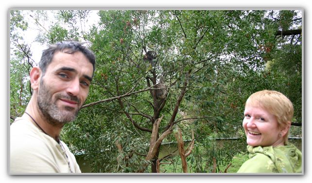 Stuart & Karen with some Koalas Feb 2007